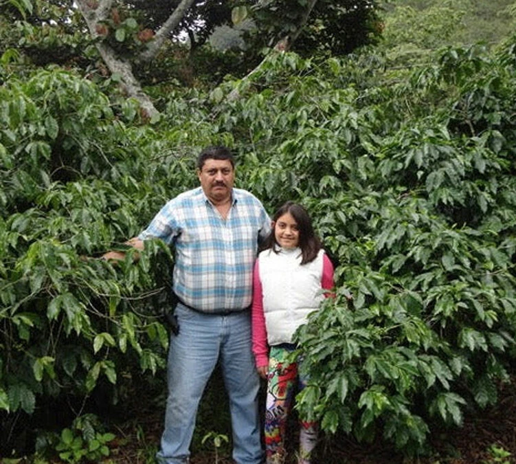 250g Café En Grains - La Colina - THE BARN – Image 3