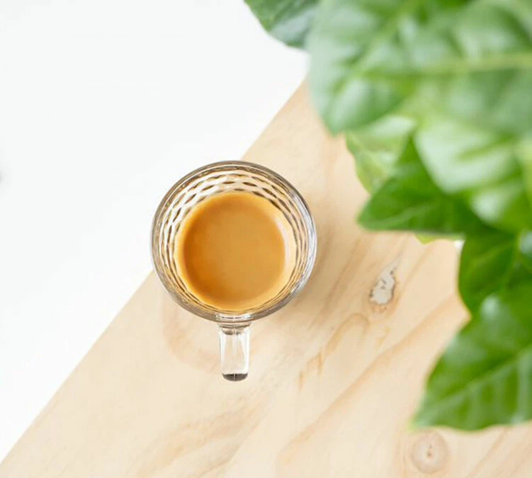 4x250g Café En Grain Bio Finca Oasis - Cafés Lugat – Image 3