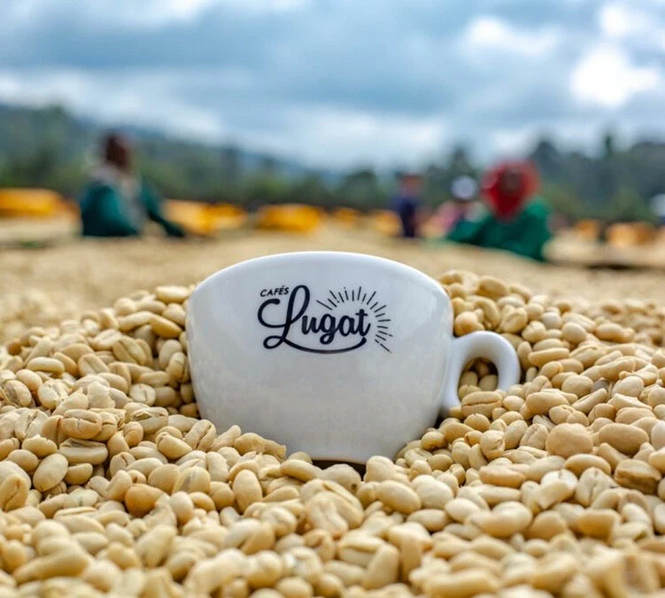 1 Kg Café En Grain Le Dark'n Sweet - Cafés Lugat – Image 3