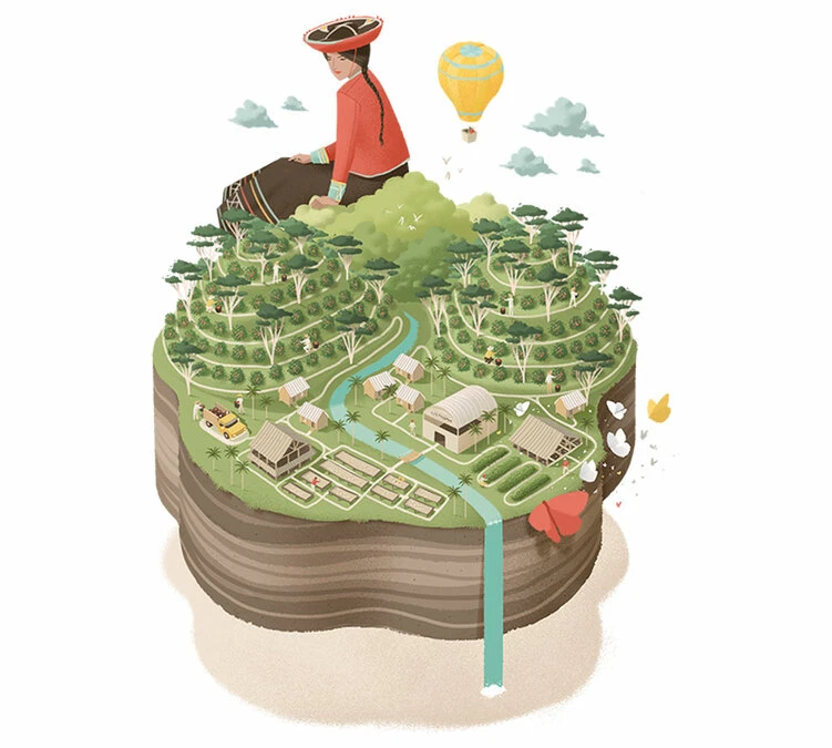 250 G- Café En Grain Coopchebi - LE PIANTAGIONI DEL CAFFE – Image 2