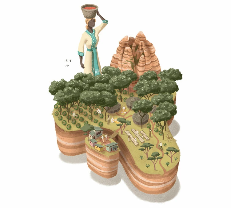 250 G- Café En Grain Dambi Uddo - LE PIANTAGIONI DEL CAFFE – Image 2