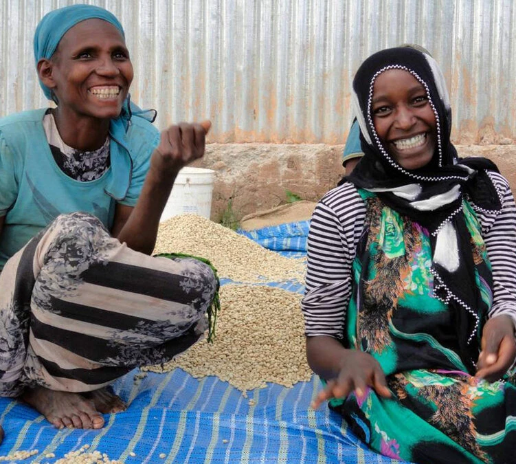 250 G- Café En Grain Dambi Uddo - LE PIANTAGIONI DEL CAFFE – Image 6