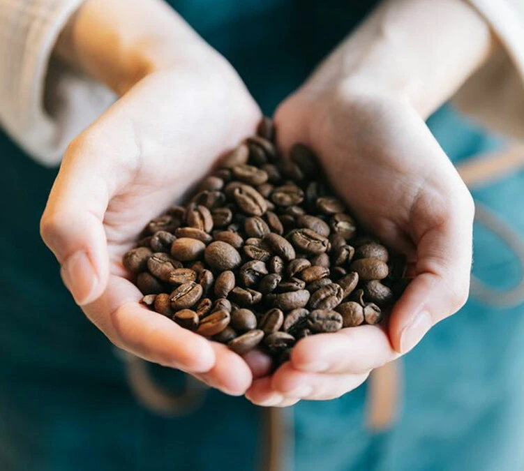 Café En Grains Brûlerie Du Cantin - Mélange Dégustation 100% Arabica - 250gr – Image 3